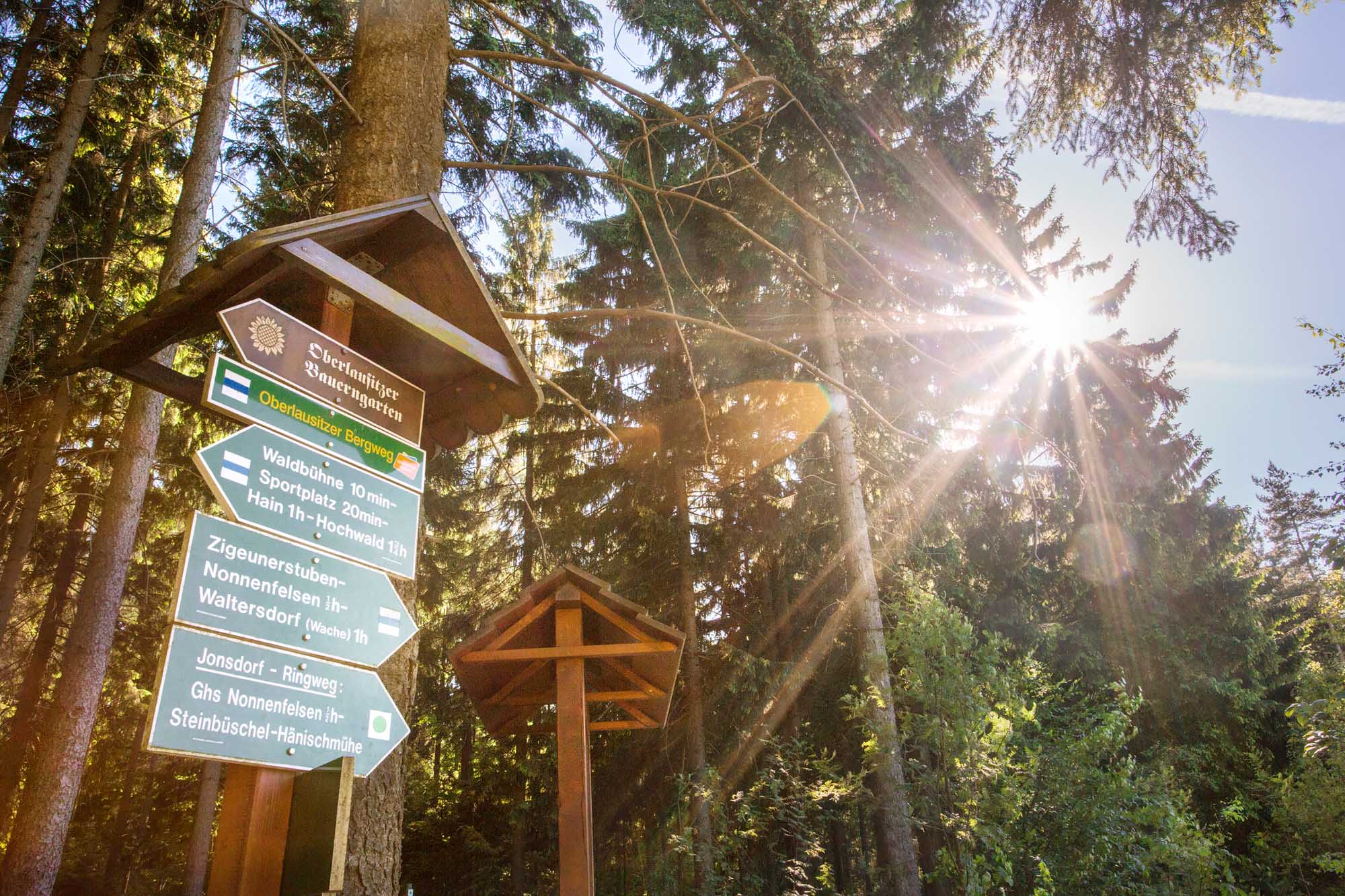 Wald in Zittau mit Ausschilderung von Wanderrouten